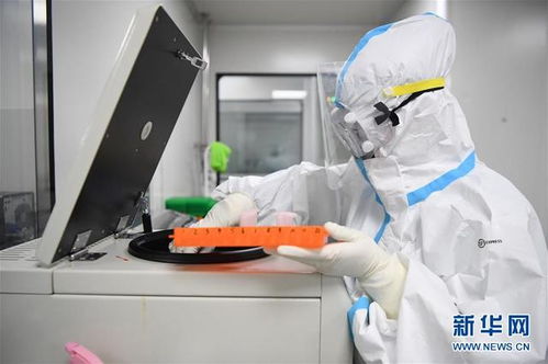 探訪第三方核酸檢測機構 獨立檢驗檢測服務的幕后英雄